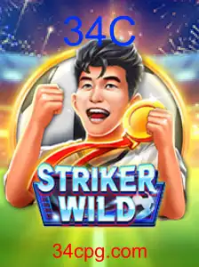 StrikerWILD